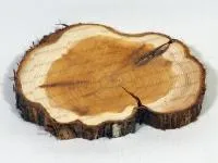 Спил Можжевельника шлифованный (1м.кв) спил можжевельника шлифованный (1м.кв)