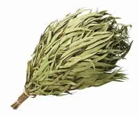 Веник эвкалиптовый в уп. Банные штучки. веник эвкалиптовый в уп. банные штучки.