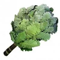 Веник банный из кавказского дуба Банный Эксперт веник банный из кавказского дуба банный эксперт