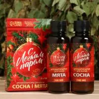 набор ароматизаторов  "с легким паром" (сосна, мята), 100 мл банная забава