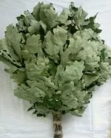 Веник дубовый в упаковке. Бацькина баня веник дубовый в упаковке. бацькина баня