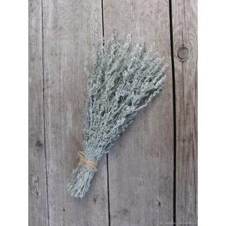 Пучок полыни "Mr.Venikoff" пучок полыни "mr.venikoff"